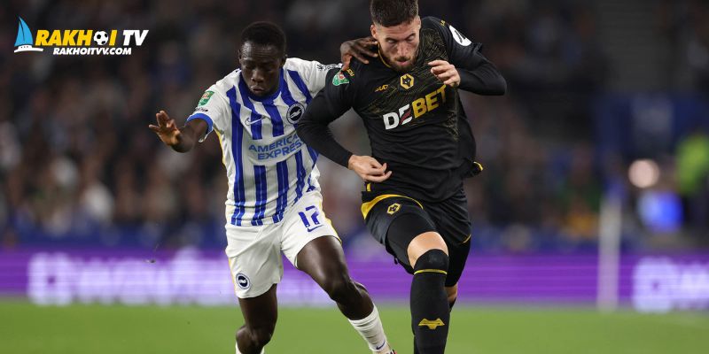 Dự đoán kết quả giữa cặp trận Wolves gặp Brighton