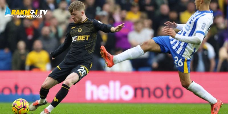 Thông tin về cặp trận đối đầu giữa Trận Wolves gặp Brighton