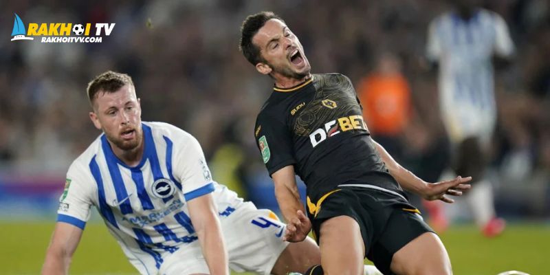 Tìm hiểu về tình hình của cả 2 đội Wolves và Brighton